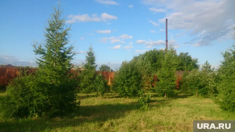 Участок находится в Сосновском районе