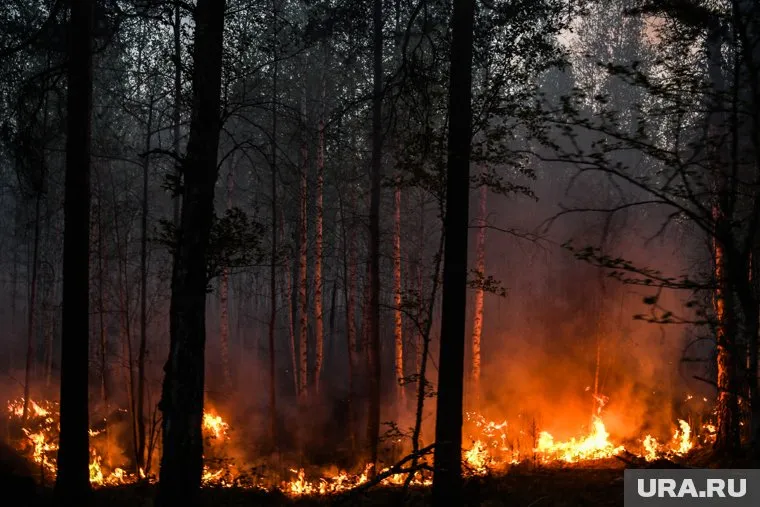 «Авиалесоохрана» озвучила свою версию пожара в Режевском районе