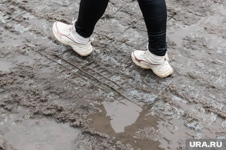 Отклонение температуры воздуха от климатической нормы достигнет 11 градусов