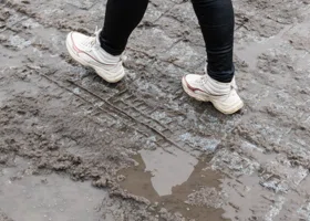 В Пермском крае наблюдается пик очередного потепления