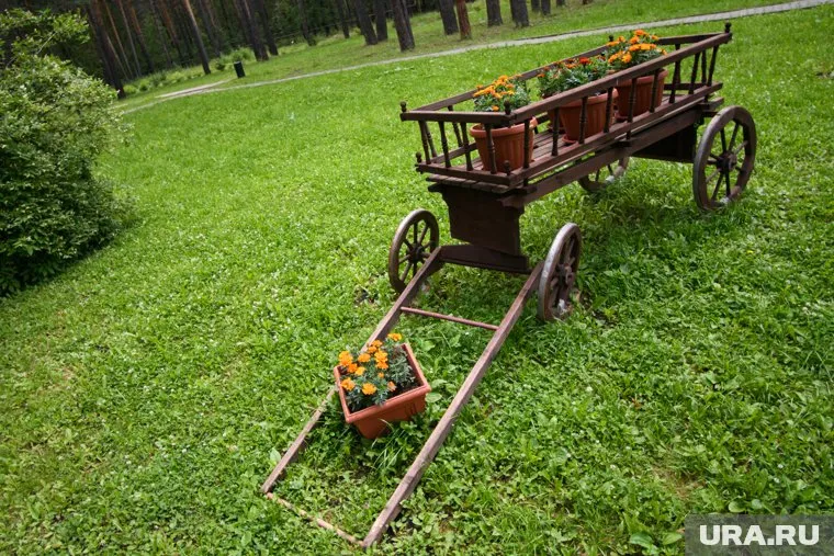 В Кургане заметили телегу (архивное фото)