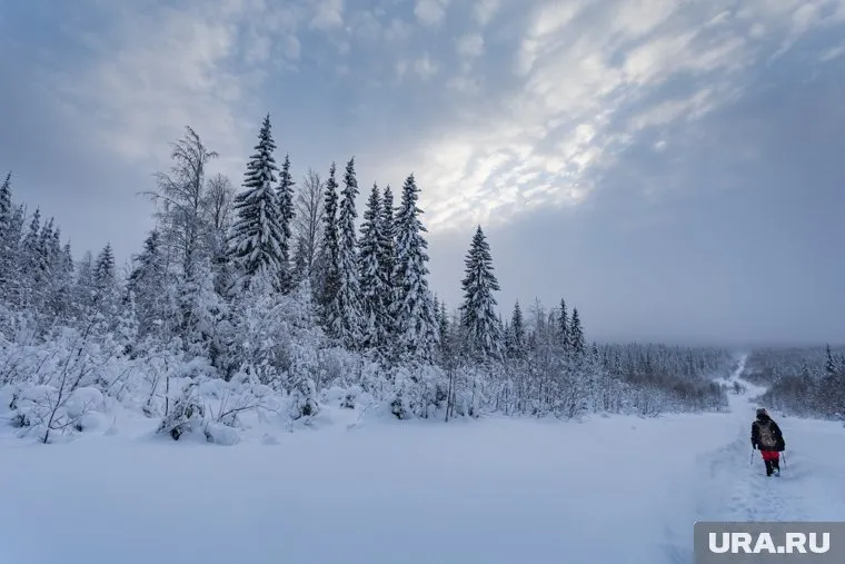 Победителя объявят 13 января 2023 года