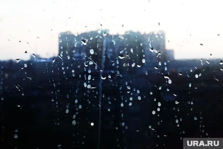 В городах Ямала весь день будут лить дожди
