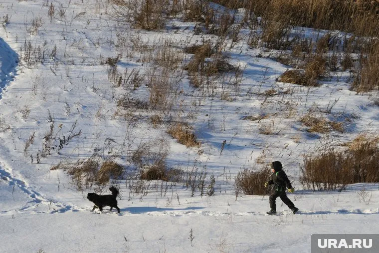 Школьный буллинг может привести к тяжелым последствиям и отпечататься на жизни ребенка