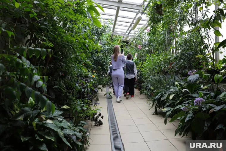 С 1 февраля посещение ботанического сада будет платным