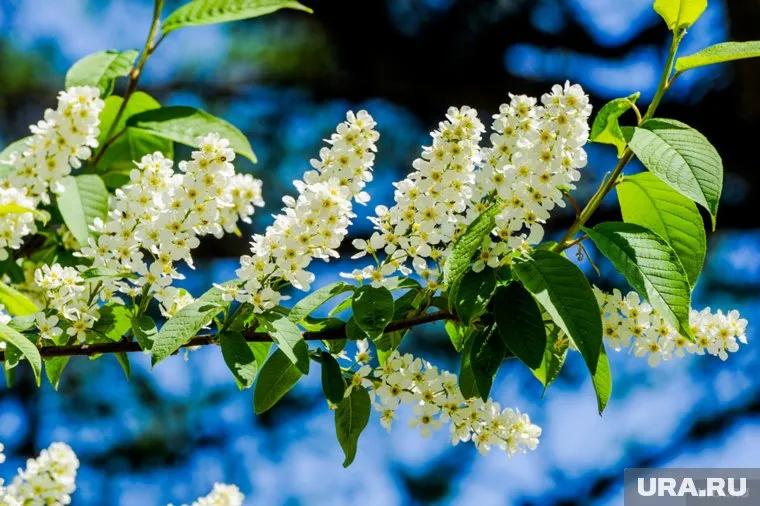 В регион установилась теплая погода