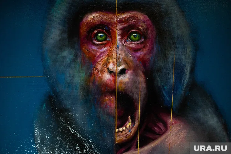 У россиянина официально выявили оспу обезьян