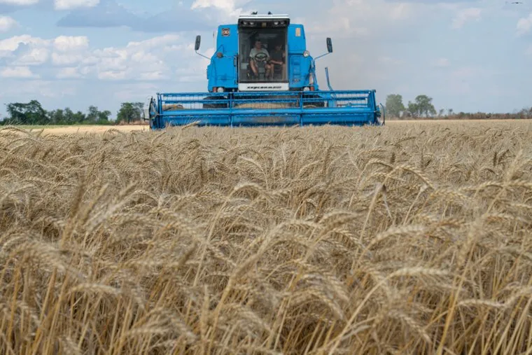 Уборка зерновых в Херсонской области. Херсон