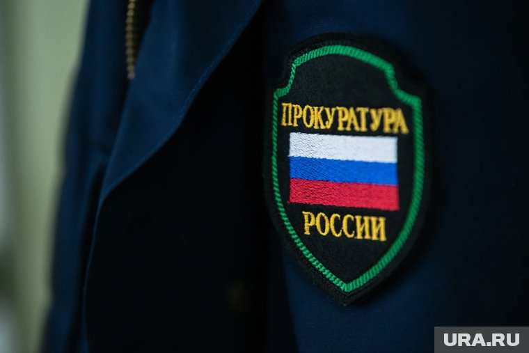 В ЯНАО наказали 23-летнюю девушку за неуплату алиментов