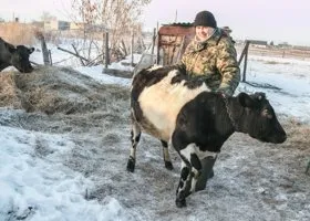 Следственный комитет закрыл уголовное дело курганского фермера, которое удивило Путина