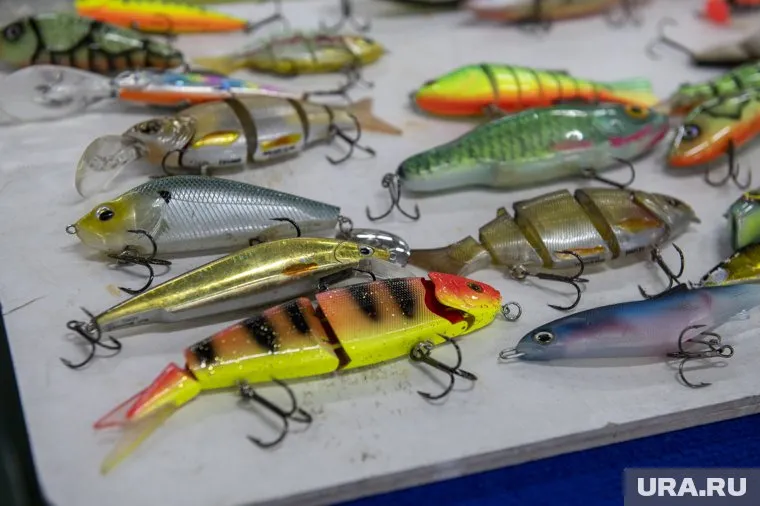 В Пермском крае водится более 39 видов рыб