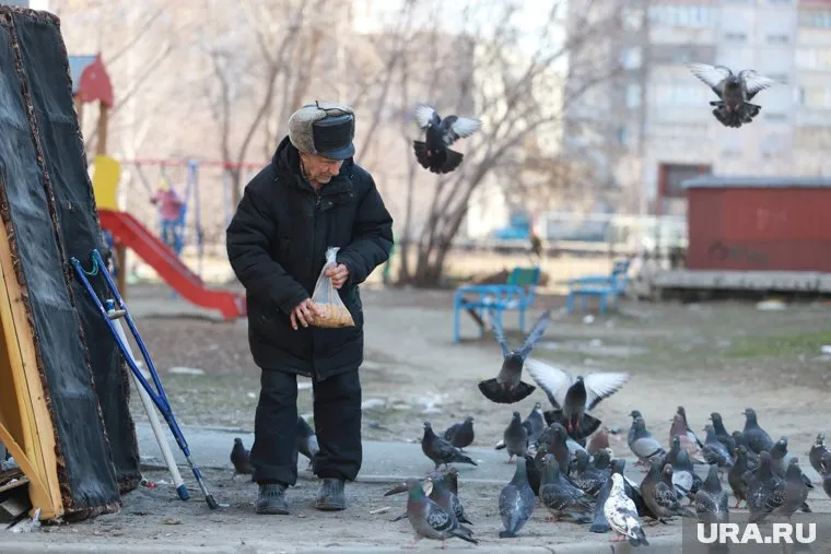 Срок, в течение которого россияне будут получать пенсии, является слишком коротким, считает экономист
