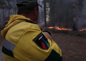 Судья Потапова указала на необоснованные выводы МЧС в деле о лесных пожарах