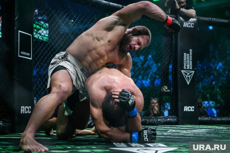 Победная серия Ивана Штыркова включает восемь поединков