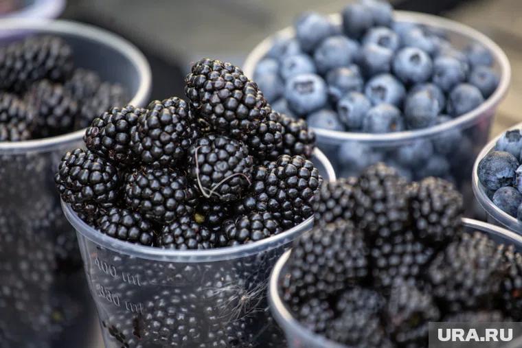 Что есть, чтобы не болеть