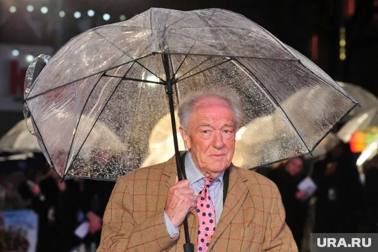 Майкл Гэмбон играл профессора Дамблдора в фильмах о Гарри Поттере