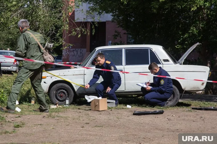 В обстоятельствах обнаружения черепа разбираются следователи