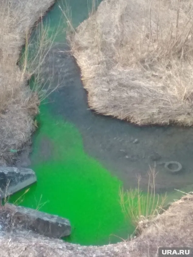 Пермская река Егошиха