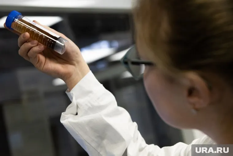 На юге России зафиксировали новый штамм Конго-крымской геморрагической лихорадки, заявили исследователи