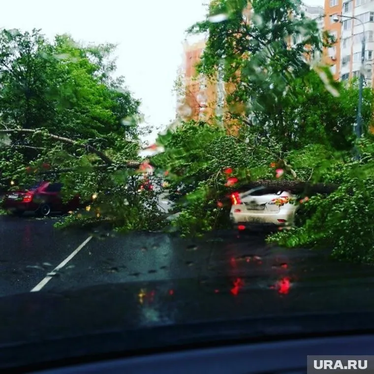 В МЧС считают, что ураган будет той же силы, что и 29 мая