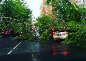 Срочно! На Москву идут разрушительный ветер и гроза