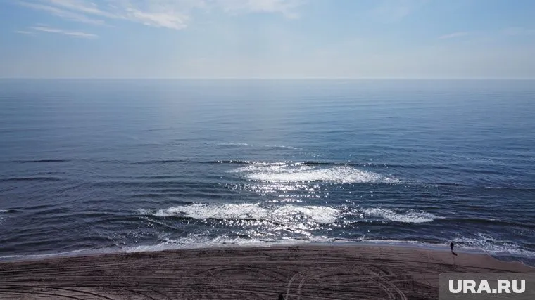 В Египте намерены разместить в местном музее фото погибшего от нападения акулы россиянина