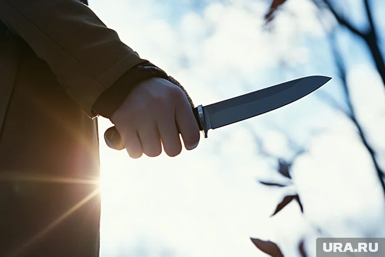 Суд избрал меру пресечения в виде заключения под стражу