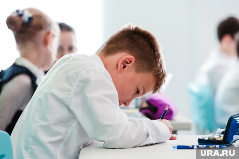 Школа полностью подготовлена для современного учебного процесса