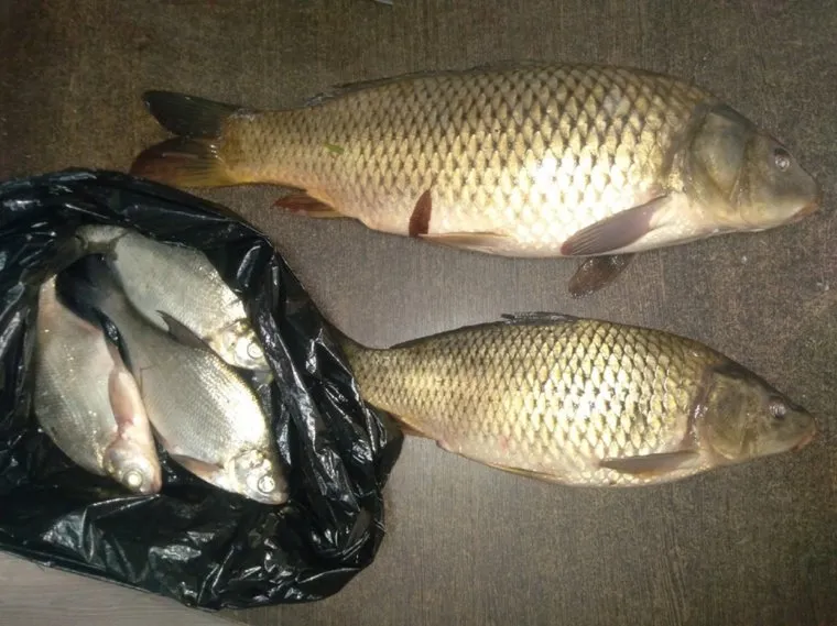 Рыба, пойманная на озере Теренколь