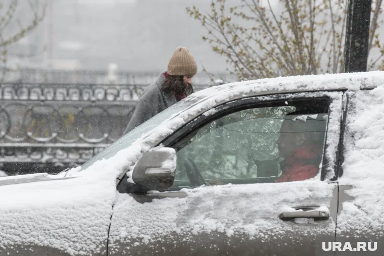За ночь выпало 13 мм осадков, что выше декадной нормы ноября, рассказал мэр