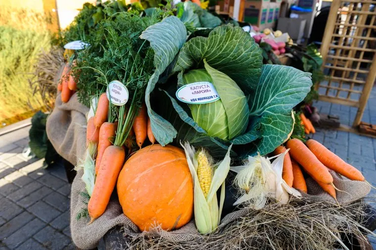 Областная агропромышленная выставка «АГРО-2019». Продукты питания. Челябинск