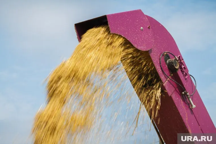 В Тюменской области построят элеватор на 200 тыс. тонн зерна