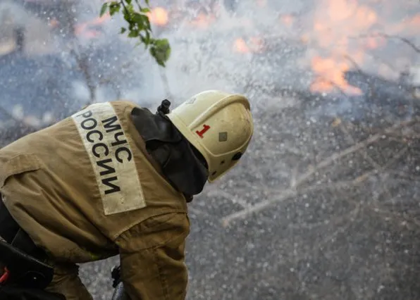 Фотография из галереи