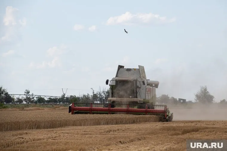 Ситуация с ввозом зерна с Украины не изменилась, заявил Серафин