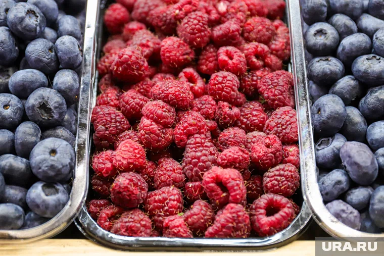 Малину в Тюмень доставляют из Марокко 