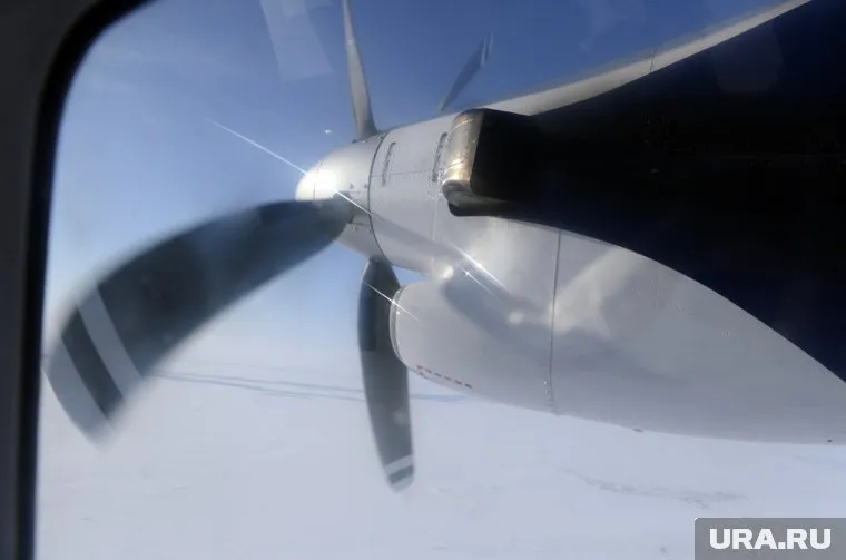 Авиакомпании, выполняющие международные перевозки, подали заявки на полеты в Грузию