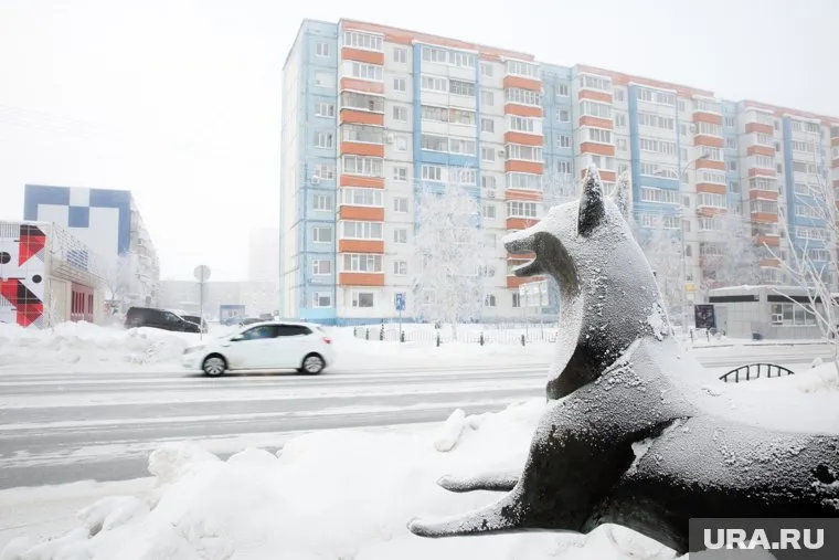 Население Сургута достигло 430 тысяч человек