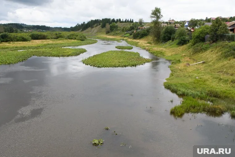 Протестантского пастора оштрафовали за проведение обряда в реке