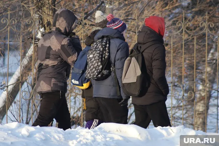Одиннадцатиклассники пошли в морозы в школу, чтобы написать итоговое сочинение