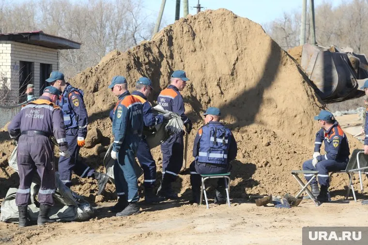 Обессиленное животное спасатели нашли и спасли во время укрепления дамбы в Ишиме