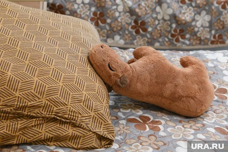 Россияне смогут отдохнуть летом и весной дольше