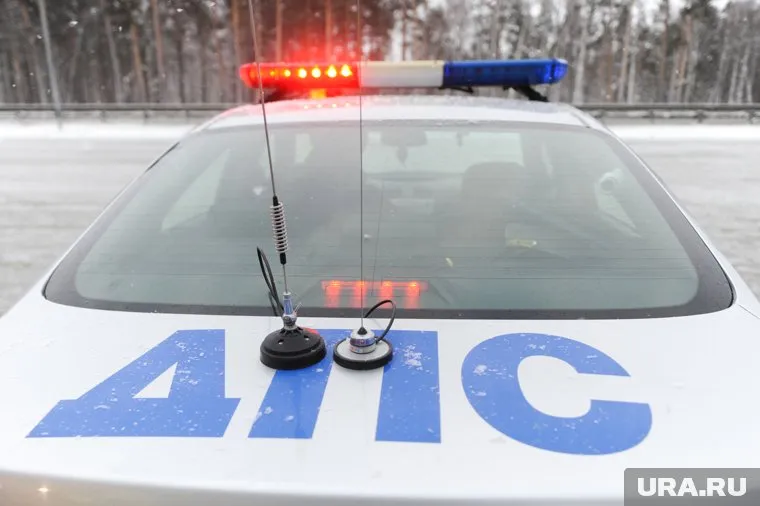 Для уточнения обстоятельств аварии около зоопарка проведут ряд экспертиз