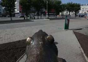 Фотография из галереи