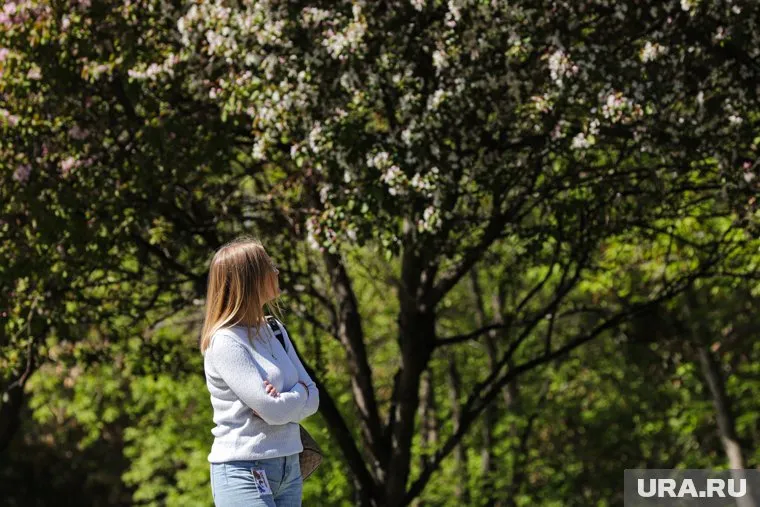 Последний раз девочку видели 31 мая, с тех пор ребенок не выходит на связь