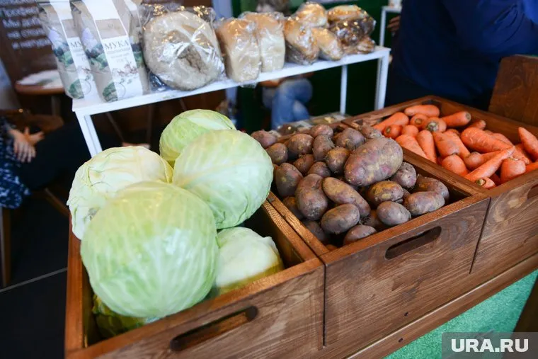 Власти РФ придумали, как снизить цены