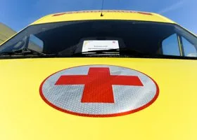 Фотография из галереи