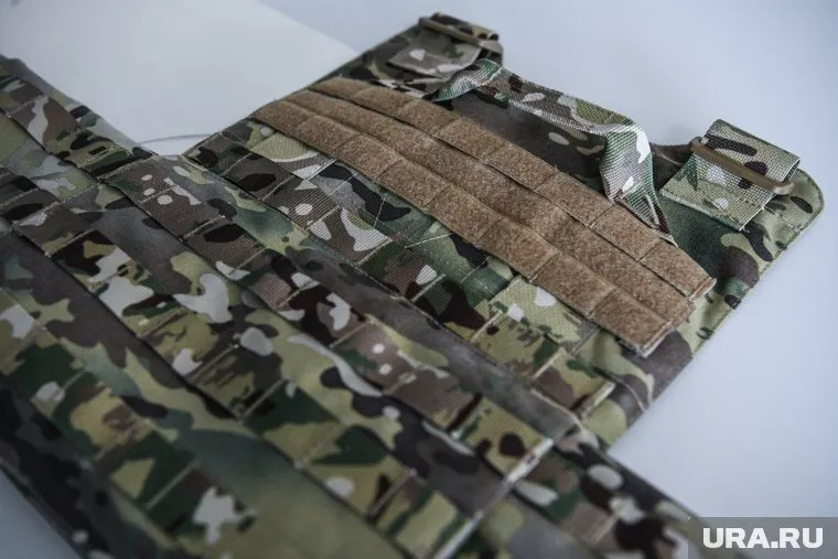 Для кота сделали специальный бронежилет