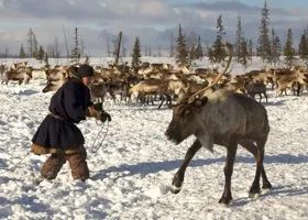 «Почему „газпромовцы“ появились с оружием в тундровой зоне?» Оленеводов требуют защитить от сотрудников нефтегазовых компаний