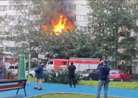 Фотография из галереи