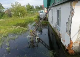 Фотография из галереи